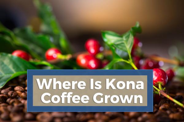 Where Is Kona Coffee Grown