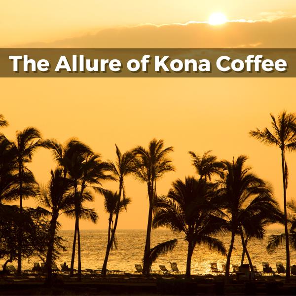 The Allure of Kona Coffee - The Taste, The Quality, and The Legacy